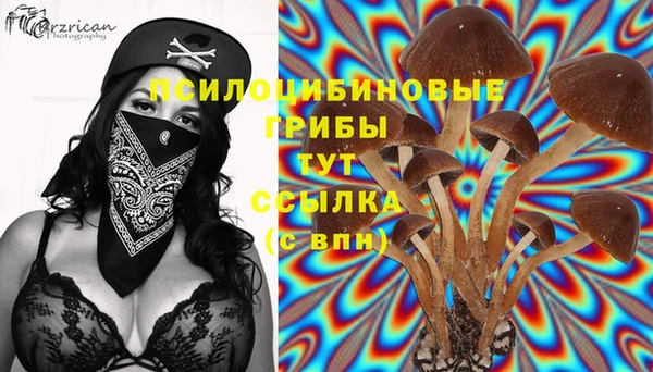 a pvp Новодвинск