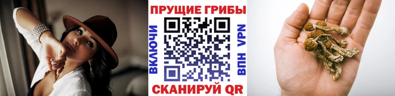 Псилоцибиновые грибы ЛСД Озёры